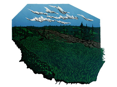 Jack Botsford - Wind in the Grass